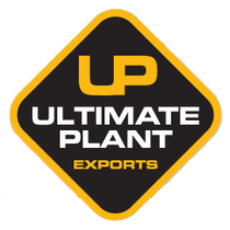 Ultimate Plant Exports